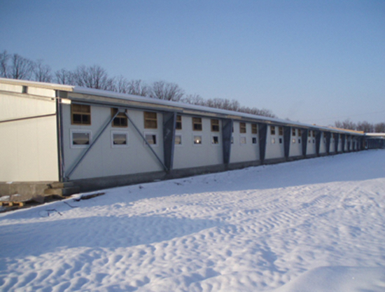 Swine battening complex, Zhovtneve village, Odessa region